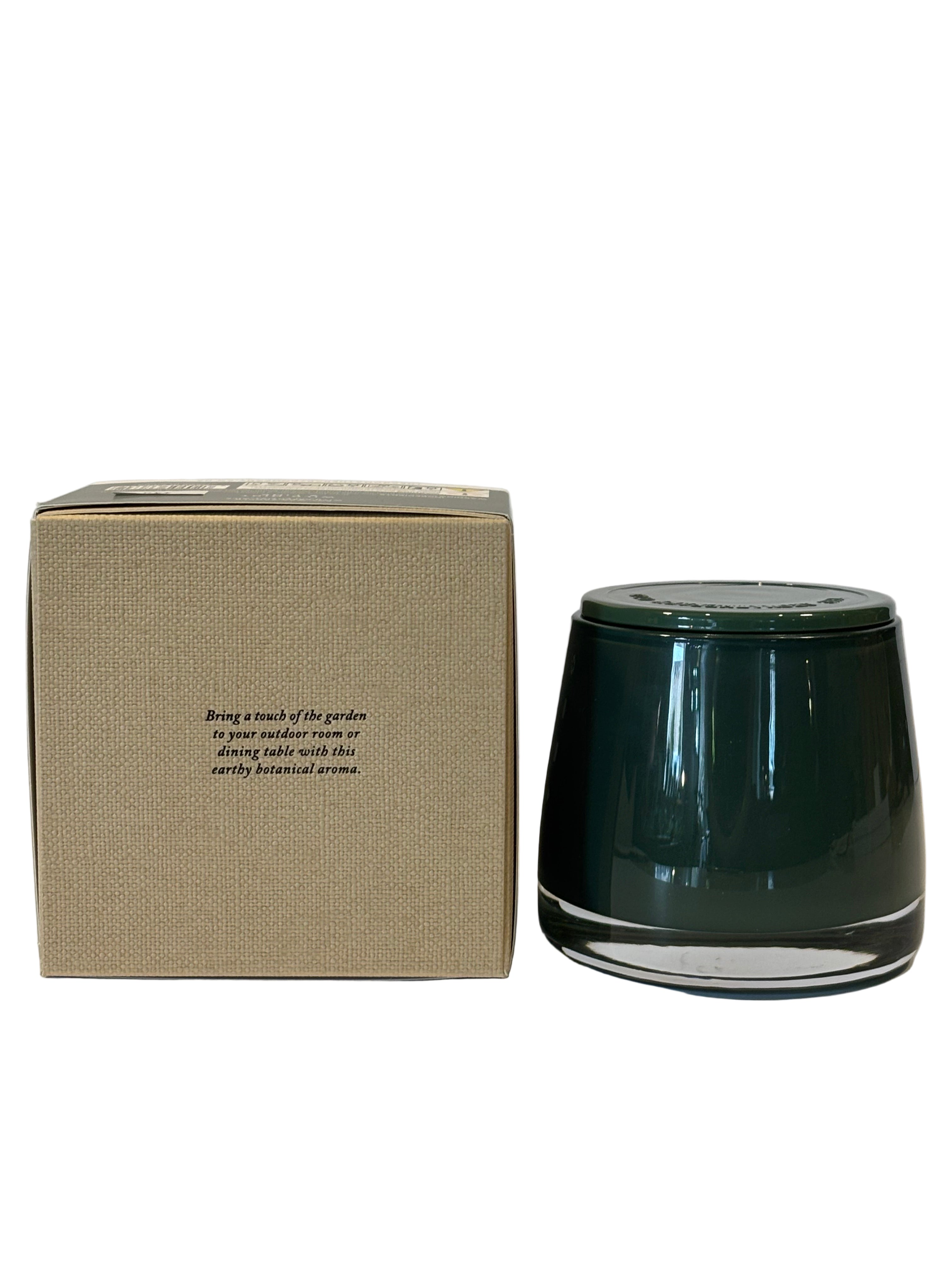 The Aromatherapy Co Wild Mint & Lime Candle