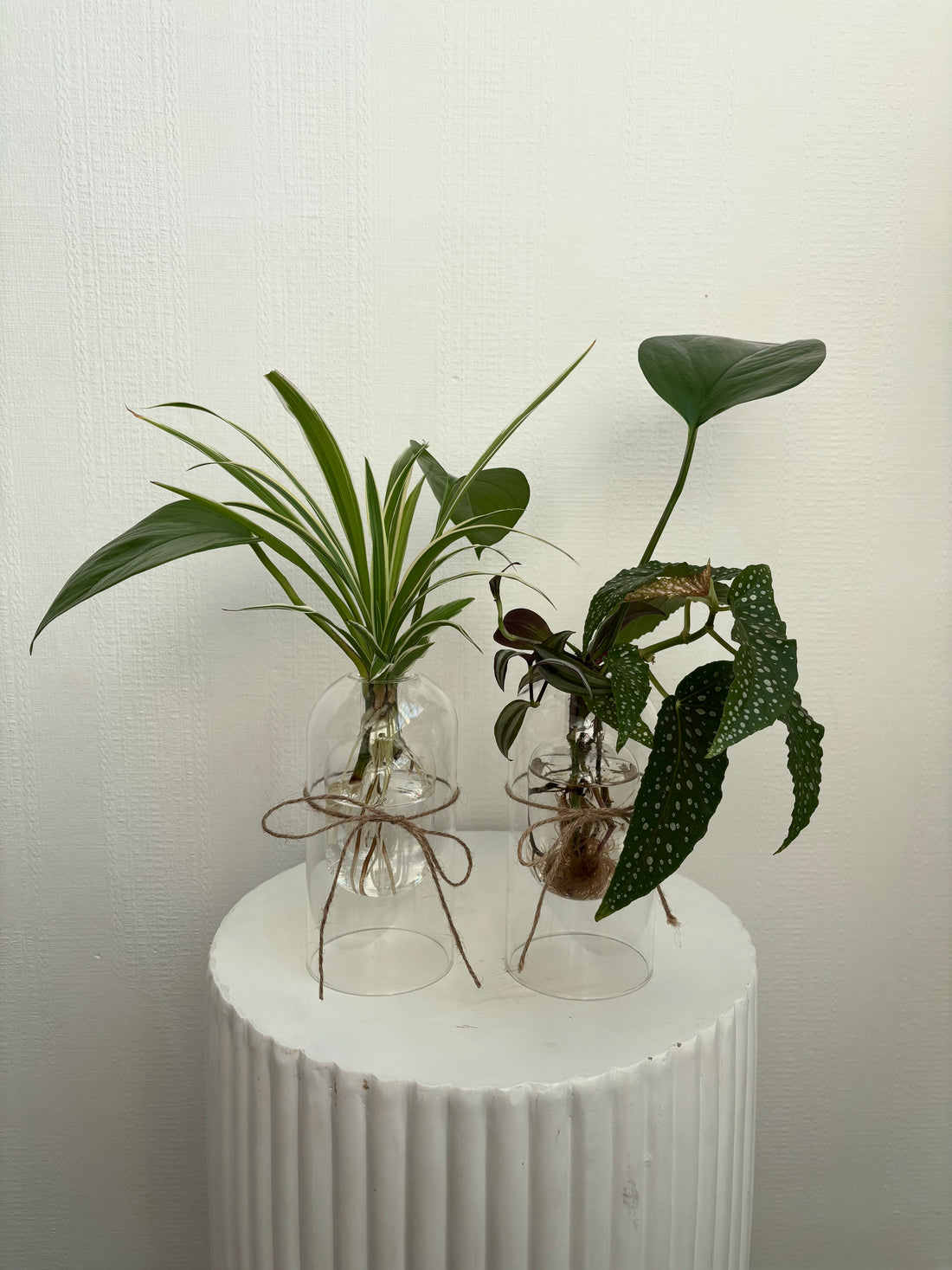 Hydroponic