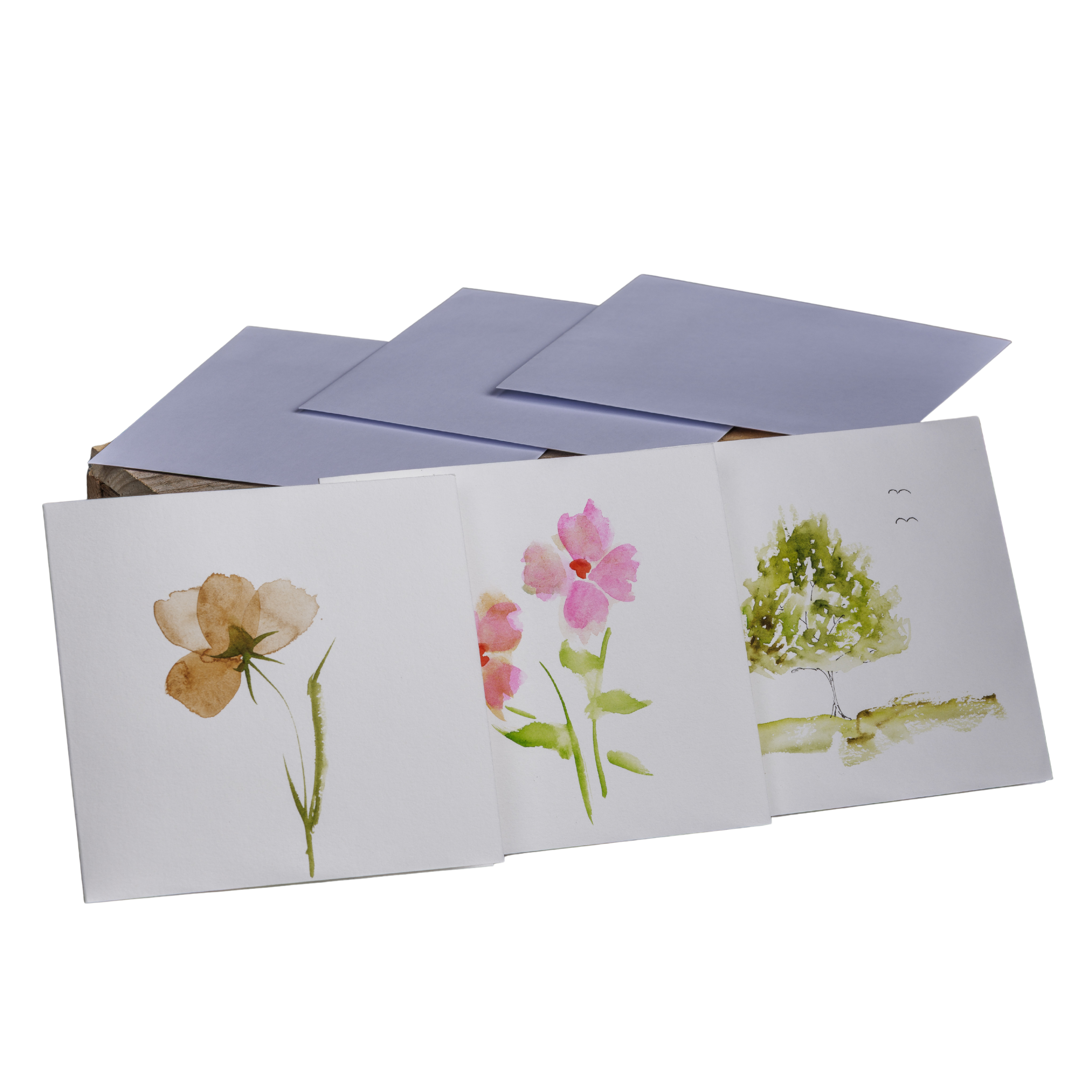 Knutmeg Cards