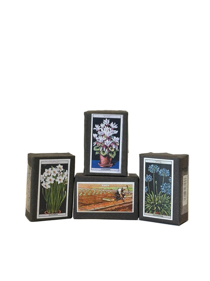 Sting In The Tail Triple Milled Olive Soap Bar