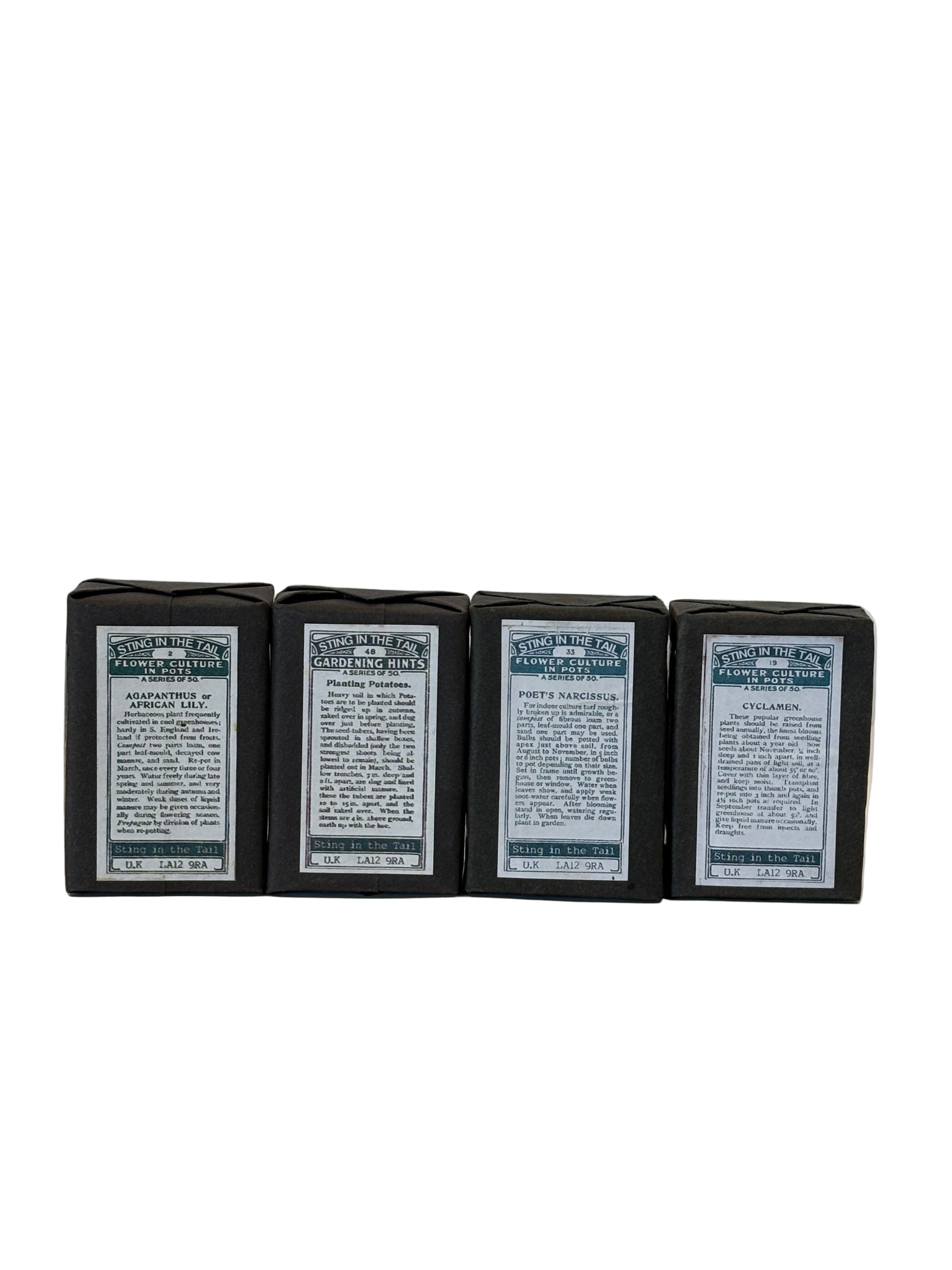 Sting In The Tail Triple Milled Olive Soap Bar