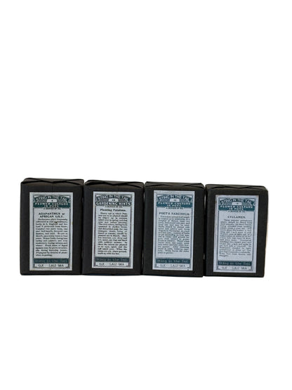 Sting In The Tail Triple Milled Olive Soap Bar